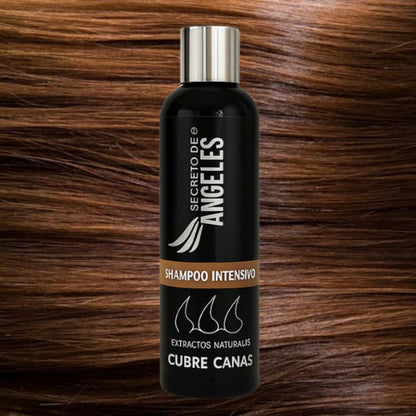 Despídete de las canas sin salir de casa