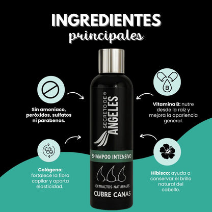 Despídete de las canas sin salir de casa + E-BOOK Cubre canas GRATIS