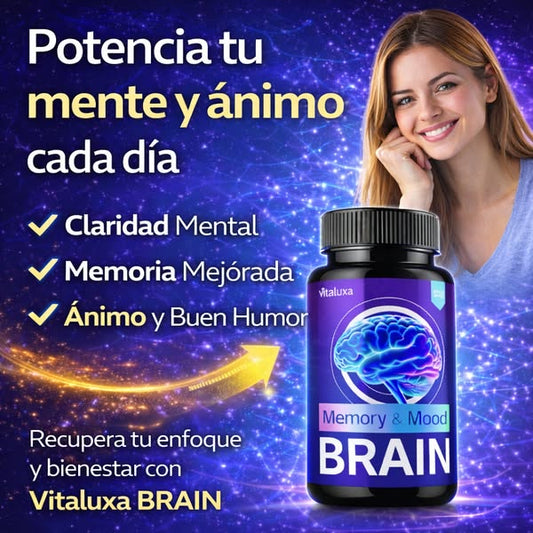Memory Mood Brain