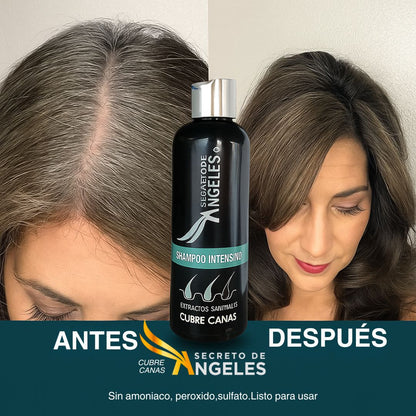 Despídete de las canas sin salir de casa