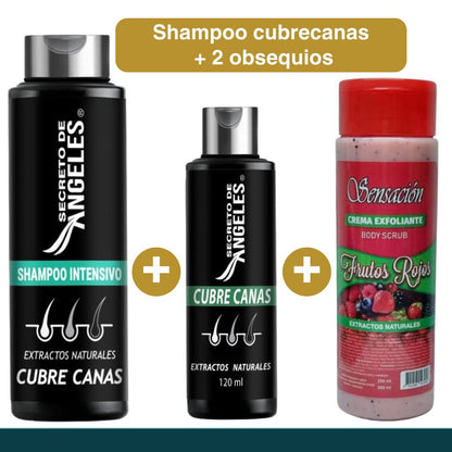 Despídete de las canas sin salir de casa