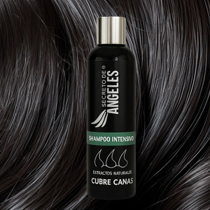 Despídete de las canas sin salir de casa